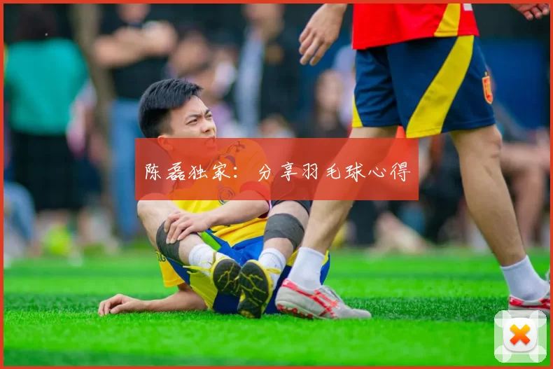 陈磊独家：分享羽毛球心得