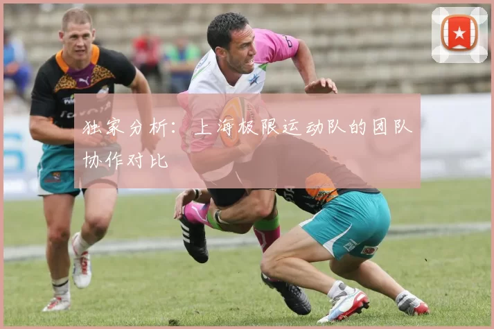 独家分析：上海极限运动队的团队协作对比