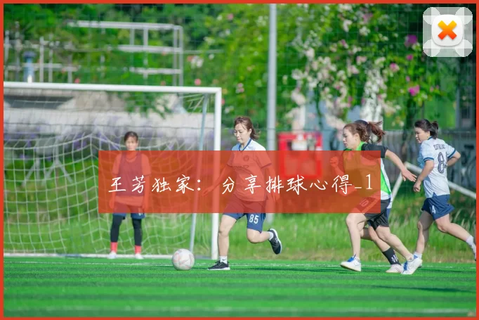 王芳独家：分享排球心得_1